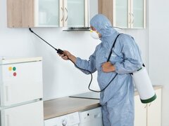 Eco Cristal Clean - dezinsectie, dezinfectie si deratizare