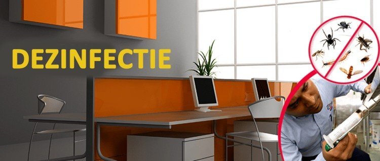 Eco Cristal Clean - dezinsectie, dezinfectie si deratizare