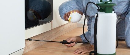 Eco Cristal Clean - dezinsectie, dezinfectie si deratizare